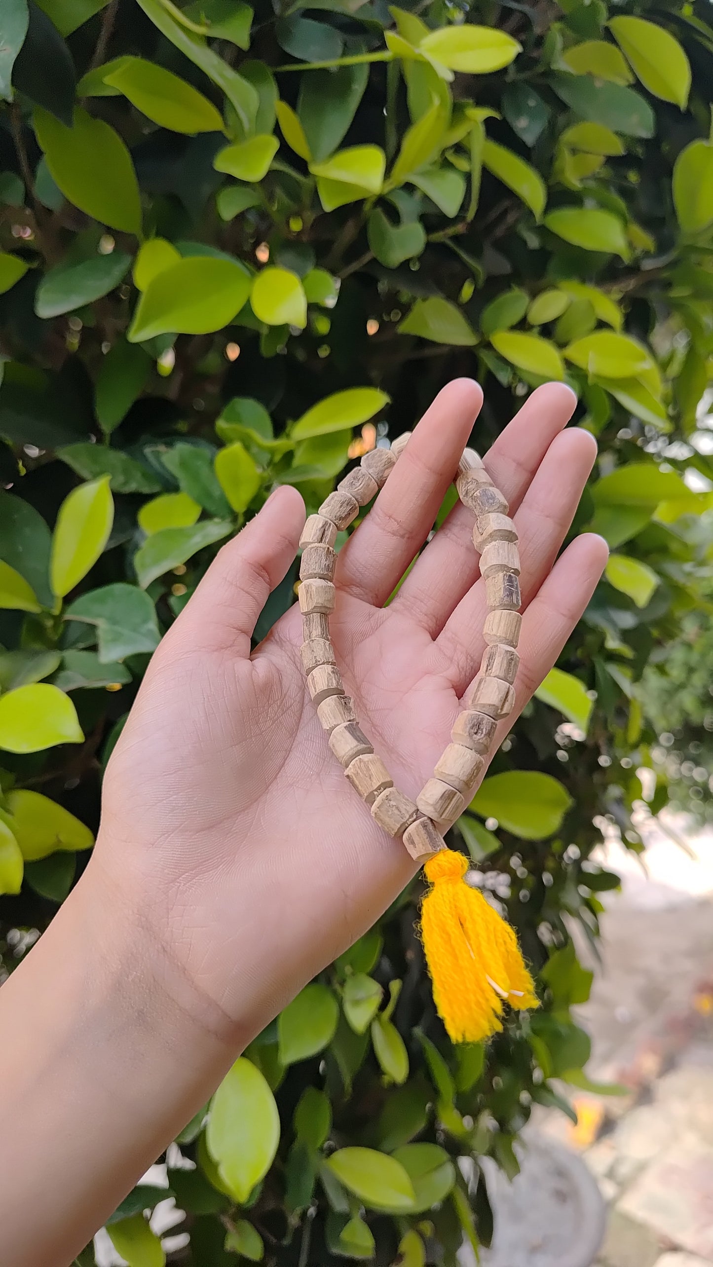 Natural Tulsi Bracelet | Certified 8mm Beads | from Vrindavan