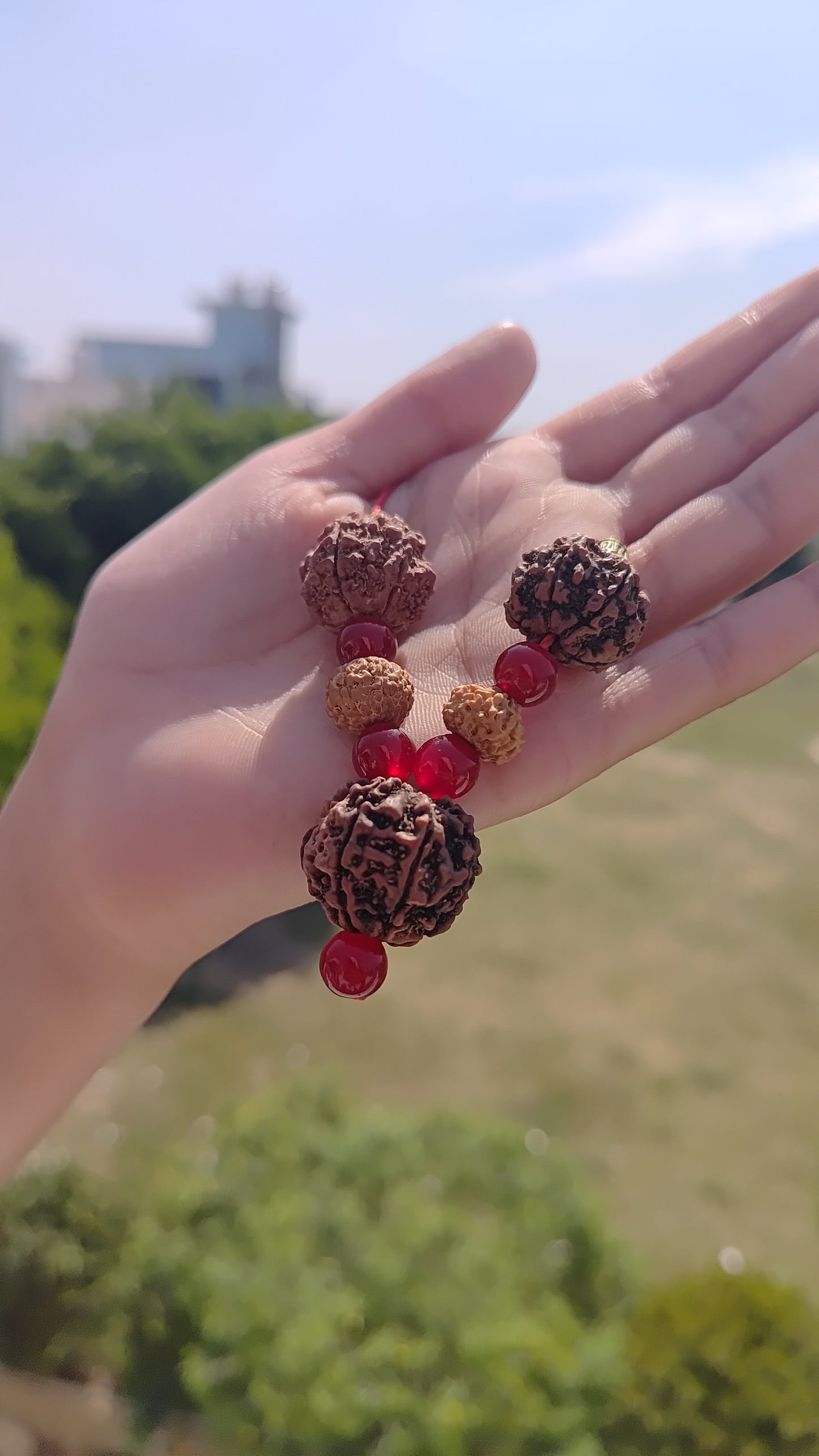 Shri Lakshmi Kavach |Certified 5, 7 & Ganesh Mukhi Rudraksha