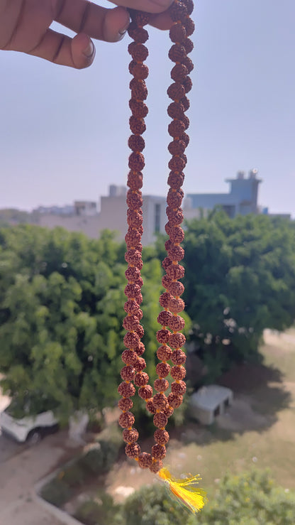 Rudraksha Mala | 100% Natural Certified 9mm Rudraksh|