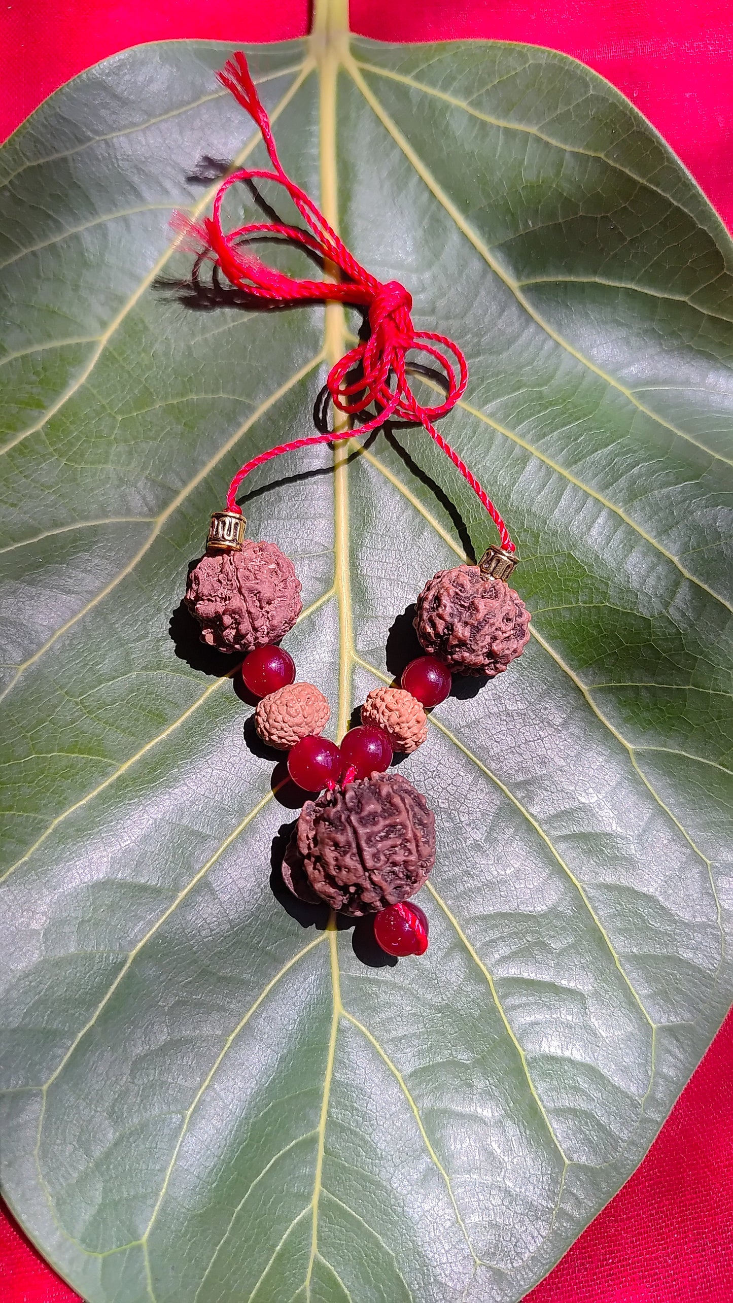 Shri Lakshmi Kavach |Certified 5, 7 & Ganesh Mukhi Rudraksha