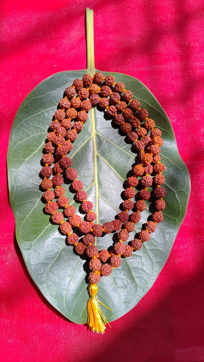 Rudraksha Mala | 100% Natural Certified 9mm Rudraksh|