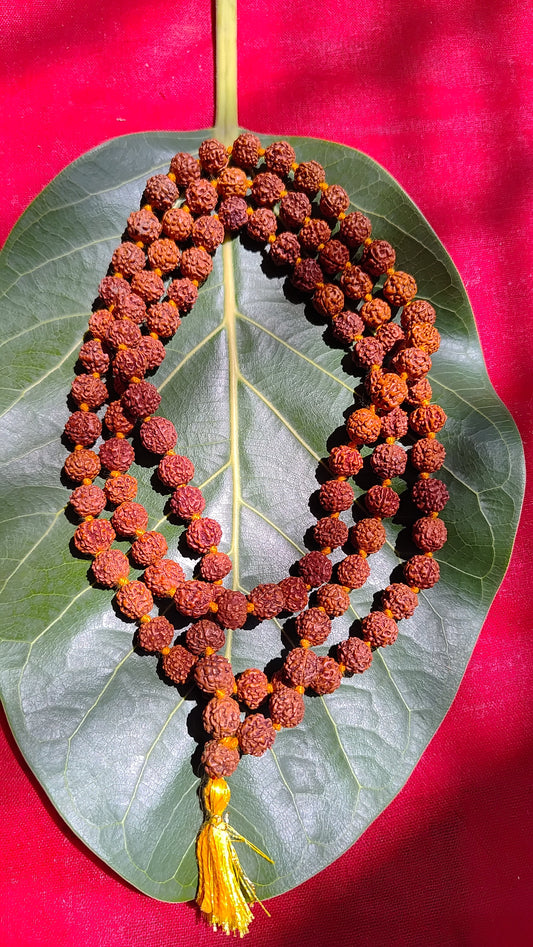 Rudraksha Mala | 100% Natural Certified 9mm Rudraksh|