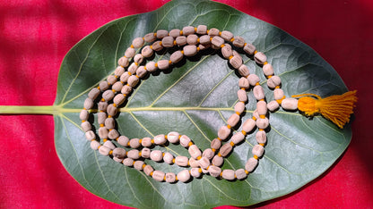Premium Tulsi Mala | 108 Beads | 6mm Natural Tulsi | Certified