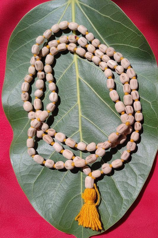 Premium Tulsi Mala | 108 Beads | 6mm Natural Tulsi | Certified