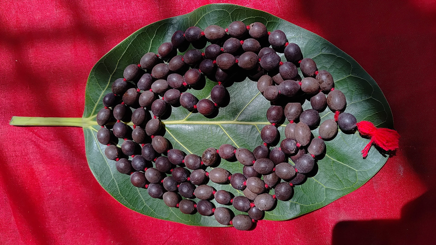 Kamal Gatta Mala | 108 Beads Jaap Mala | Natural Lotus Seeds | Certified