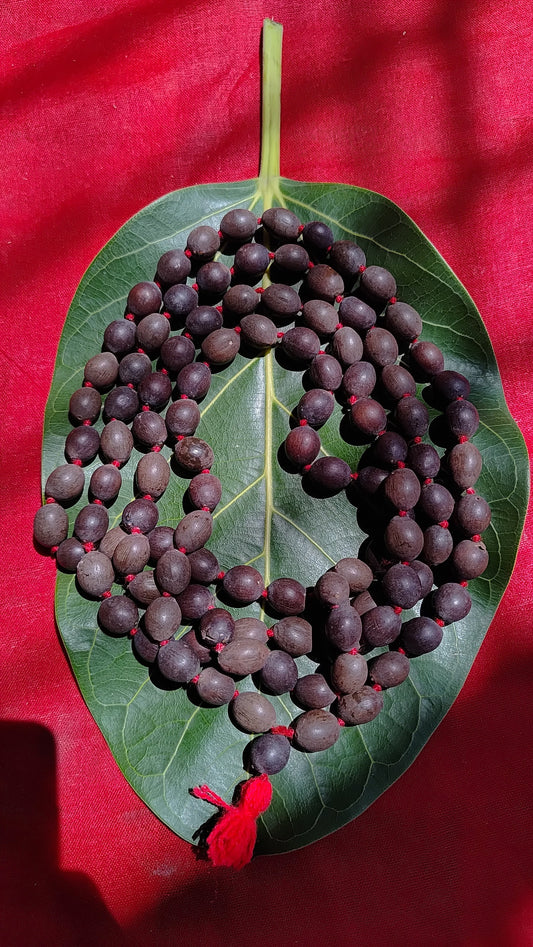 Kamal Gatta Mala | 108 Beads Jaap Mala | Natural Lotus Seeds | Certified