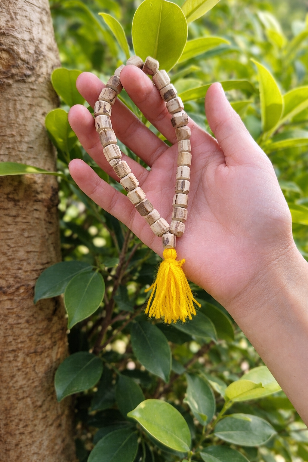 Natural Tulsi Bracelet | Certified 8mm Beads | from Vrindavan